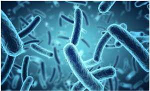 Read more about the article Emerging Programs Blog Series: Human Microbiome